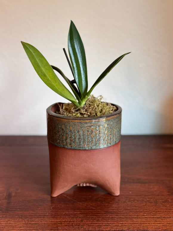 Small Red Clay Planter- Ironstone