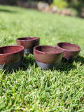 3-D Printed Black Clay Tea Cups set of 4- Plum